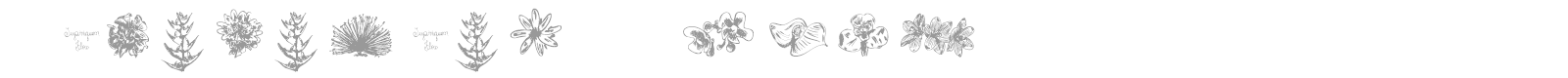 Tupiniquim Flora font preview